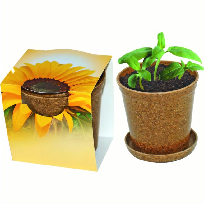 Produktabbildung Easy Wachstums-Topf Easy Wachstums-Topf