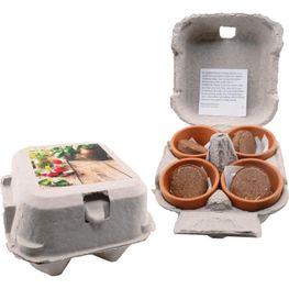 Produktabbildung Vitamine 4 You Vitamine 4 You