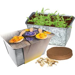 Produktabbildung Wachstums-Kästchen Blütengenuss Wachstums-Kästchen Blütengenuss
