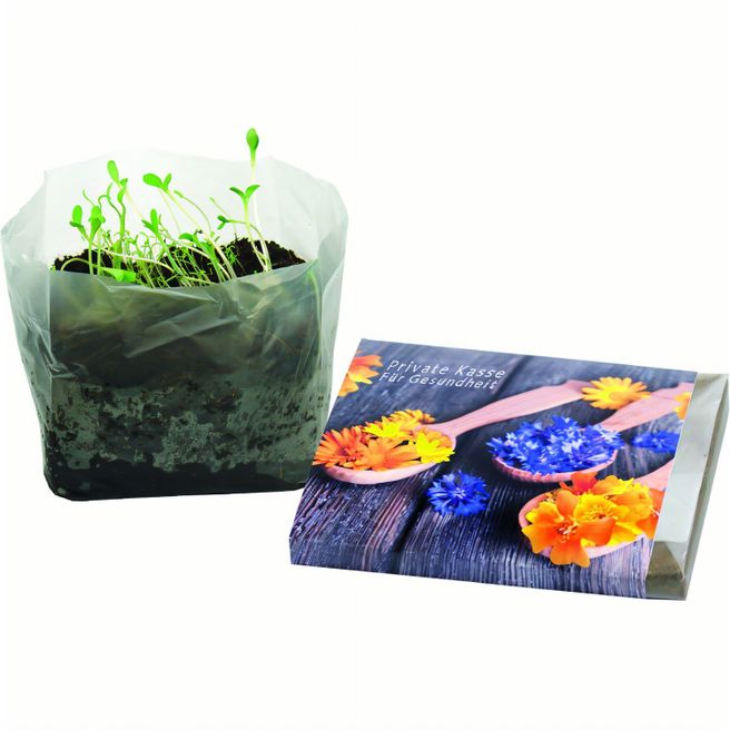 Produktabbildung Wachstum im Quadrat Blütengenuss Wachstum im Quadrat Blütengenuss