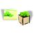 Pflanzsteckbox Green (Bild 1)