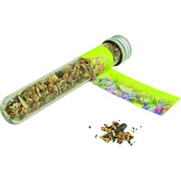 Reagenzglas Bienenbuffet