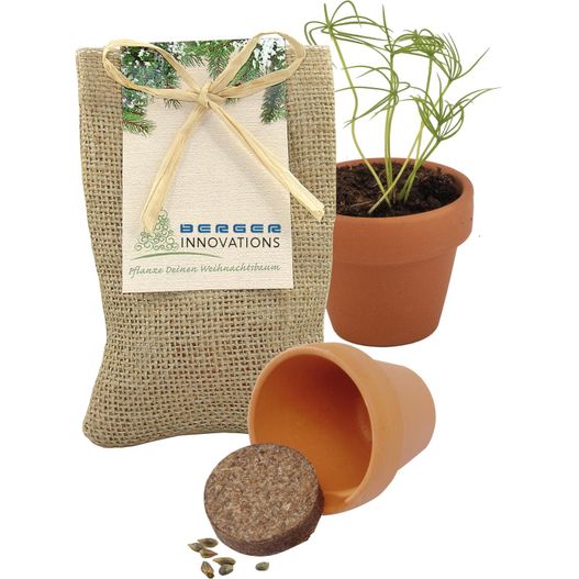 Kleines Natur - Säckchen Pflanze deinen Baum (Bild 1)