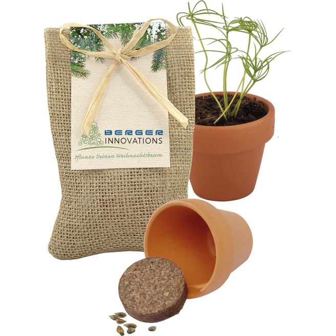 Kleines Natur - Säckchen Pflanze deinen Baum