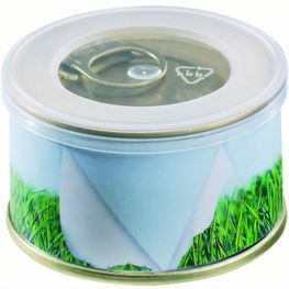 Minigarten Gras ohne Magnet