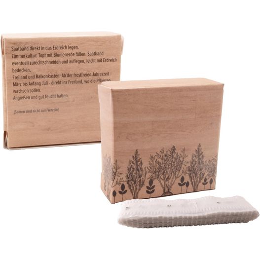 Meterweises Wachstum Rucola (Bild 1)