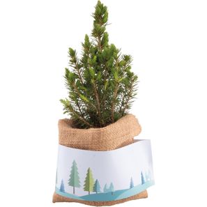 Weihnachtsgruß-Bäumchen