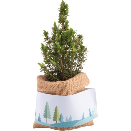 Weihnachtsgruß-Bäumchen (Bild 1)