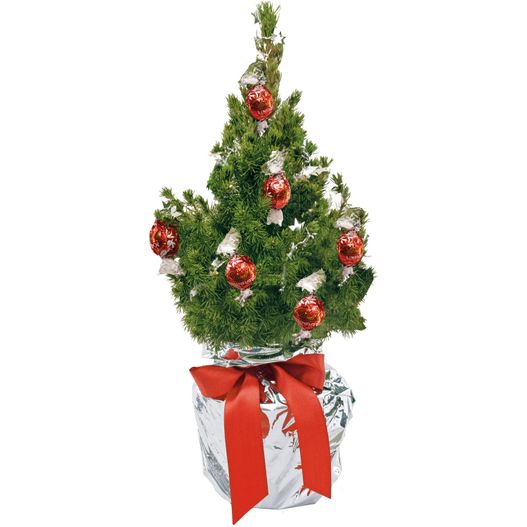 ein kleiner weihnachtsbaum mit ornamenten in einer geschenkbox Schokotraum-Bäumchen 35-45 cm (Bild 1)