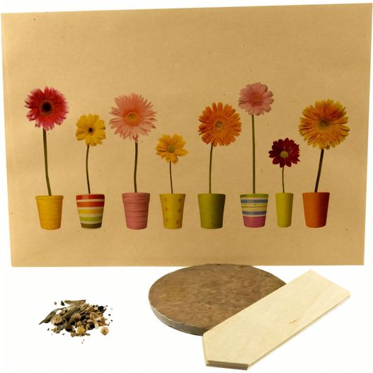 eine karte mit einem bild von blumen in töpfen Natürliches Wachstum (Bild 1)
