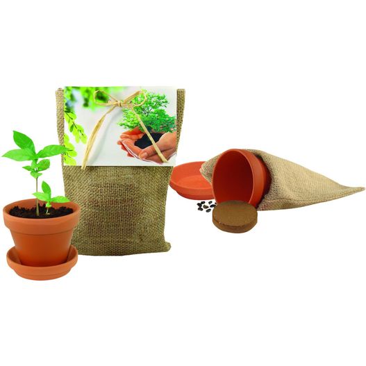 Pflanze Deinen Baum Natur-Säckchen (Bild 1)