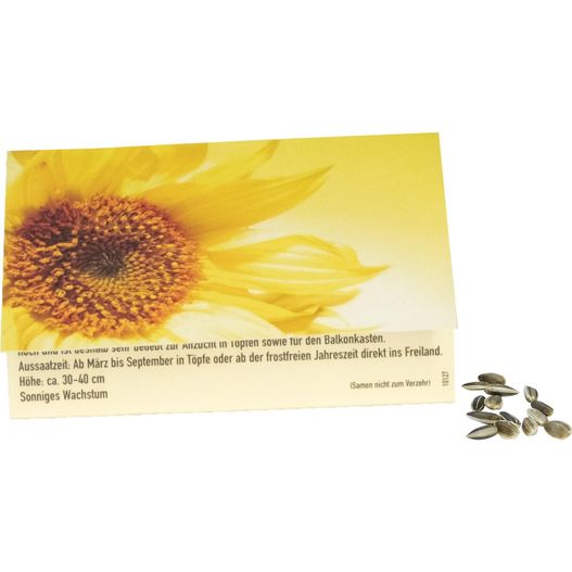 Klappkärtchen Sonne (Bild 1)