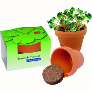 Tontöpfchen Glücksklee