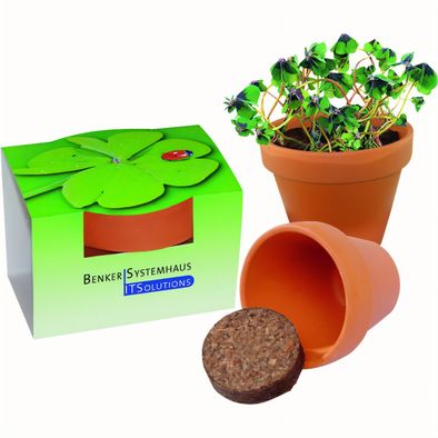 Produktabbildung Tontöpfchen Glücksklee Tontöpfchen Glücksklee