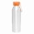 Aluminium Trinkflasche COLOURED (Bild 2)