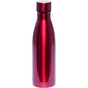 Vakuum-Trinkflasche LEGENDY