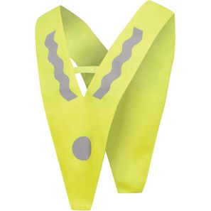 Kinder-Sicherheitsdreieck VICTORY