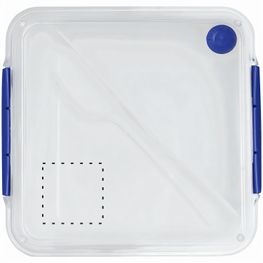 Lunchbox DELICIOUS