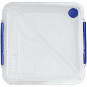 Lunchbox DELICIOUS