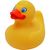 Quietsche-Ente (Bild 1)