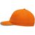6-panel-Cap DETECTION (Bild 2)