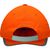 6-panel-Cap DETECTION (Bild 4)