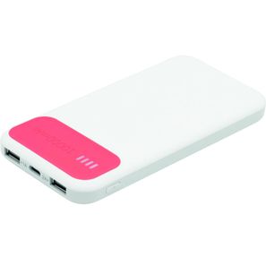 Powerbank SILICON VALLEY