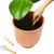 Garten-Set PLANT IT (Bild 4)