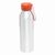 Aluminium Trinkflasche COLOURED