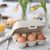 koziol EGGS TO GO MINI - Eierbox (Bild 3)