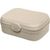 koziol ARENA - Lunchbox mit Trennsteg