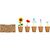 Saat-Set Sommerblumen FLOWERS (Bild 4)