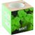 Kräuterpflanz-Set "Minze'' MENTA (Bild 2)
