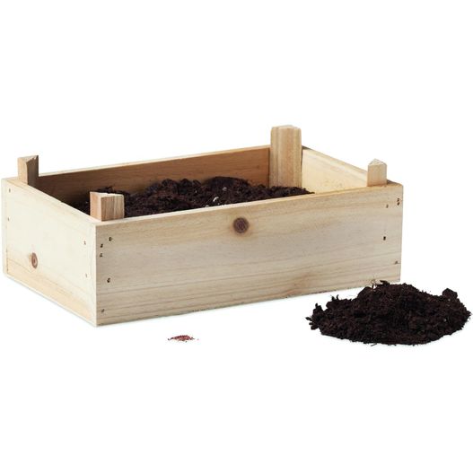 eine holzkiste mit schmutz und einem haufen schmutz gefüllt Saat-Set Erdbeere STRAWBERRY (Bild 1)