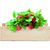 Saat-Set Erdbeere STRAWBERRY (Bild 4)