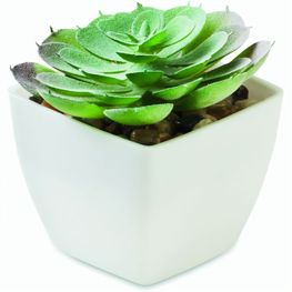 Mini-Kunstpflanze ARTIECHE