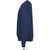 SPIDER HERREN SWEATER 260g SPIDER (Bild 3)