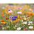 DIN A4 Wildblumen-Samenpapier ASIDI (Bild 4)