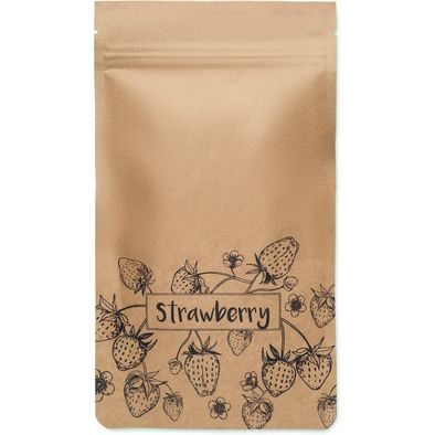 Saat-Set Erdbeere FRESA KIT