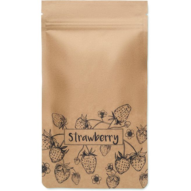 Saat-Set Erdbeere FRESA KIT