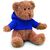 Teddybär mit Hoody  JOHNNY (Bild 1)