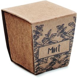 Pflanz-Set Minze MINT KIT