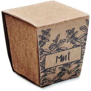 Pflanz-Set Minze MINT KIT