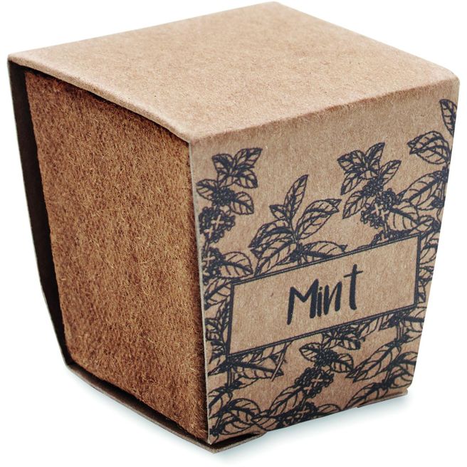 Pflanz-Set Minze MINT KIT