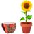 Terracotta-Topf Sonnenblume SUNFLOWER (Bild 1)