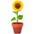 Terracotta-Topf Sonnenblume SUNFLOWER (Bild 4)