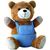 Teddybär NICO (Bild 1)