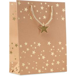 Geschenkpapiertüte SPARKLE