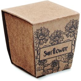 Pflanz-Set Sonnenblume SUNFLOWER KIT