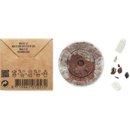 Samen Sommerblumen FLOMIX